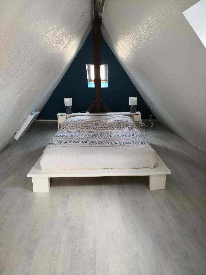"Appartement Au Centre & Parking" Logement Petite Venise Colmar Exterior foto